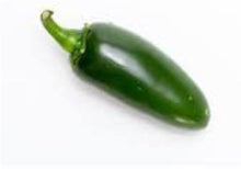 Chilean Bellflower Snowbird Seeds for reliable seasonal color