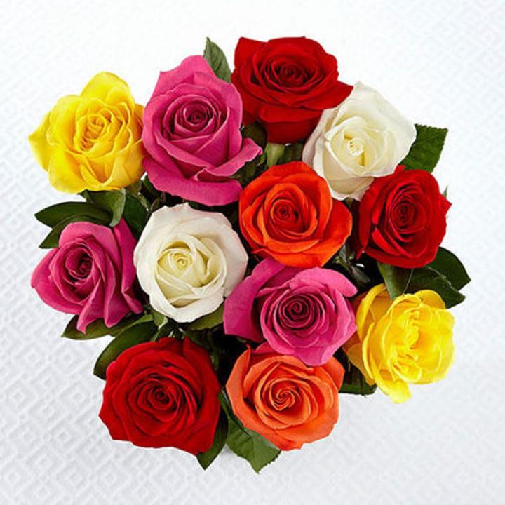 Rose Bonsai Rosa spp. flower seeds (20 pieces, various colors) for planting in container garden - for planting in home garden