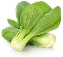 San Fan Hybrid Pak Choi Seeds for reliable seasonal color
