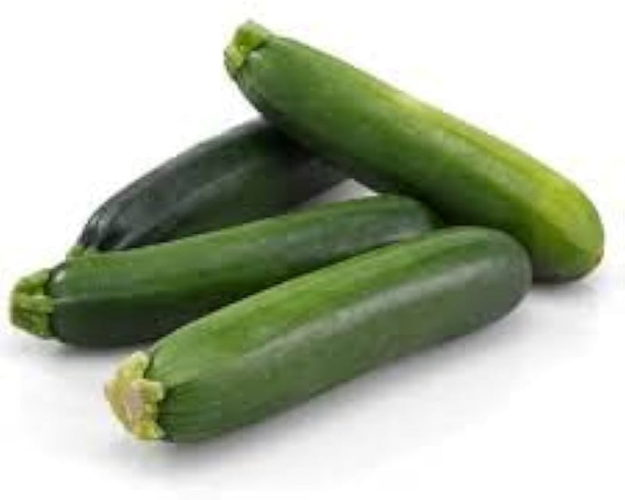 Barq (F1 Squash) for planting in garden