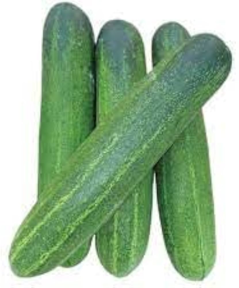 Japanese Mini Cucumber Cucumis Sativus vegetable seeds organic heirloom for planting in kitchen garden and backyard planters - for planting in home garden