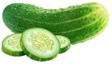 KVARIT F1 Cucumber Seeds for a fresh homegrown crop from the Home Garden Vegetable Planting