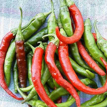 Long Red Slim Cayenne Pepper seeds for hot peppers