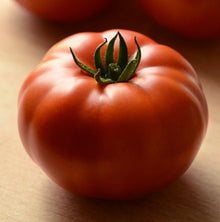 Genuwine Tomato Seeds (Solanum lycopersicum) for productive rows in the midseason backyard gardens