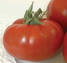 Red Pear Tomato Seeds (Solanum lycopersicum) for productive rows in the backyard vegetable plots