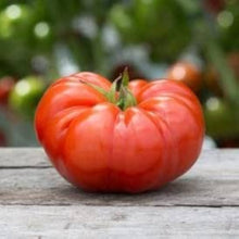 Aussie Tomato Paste Seeds for a fresh homegrown crop from the Home Vegetable Kitchen Garden