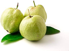 Guava Seeds for a homegrown harvest from the Psidium orchard edible garden
