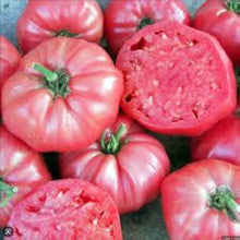 Rutgers Brandywine cross tomato seeds