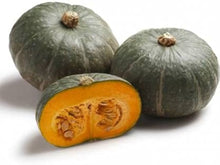 Silver Moon Pumpkin Seeds known for fall displays