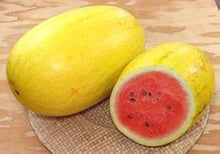 Golden Pioneer Hybrid Seeds for a productive addition to the vegetable patch