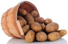 Potato Seeds (Solanum tuberosum) for growers stocking the Vegetable Patch