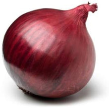 Burgundy Red Onion Seeds (Allium cepa) for productive rows in the Kitchen Raised Beds