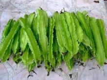 Winged Bean Seeds (Psophocarpus tetragonolobus) for a fresh homegrown crop from the Vegetable Home Garden