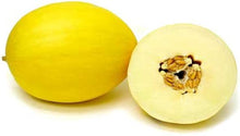 Gold Melon Fruit & Vegetables Seeds for a productive addition to the vegetable patch