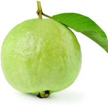 Guava Psidium Guajava Seeds for planting in backyard orchard