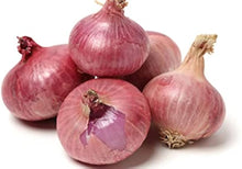 Winter Onion Red Herb Seeds for a productive addition to the vegetable patch