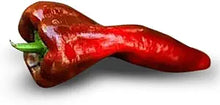 Beaver Dam Pepper Seeds (Capsicum annuum) for productive rows in the Vegetable Patch