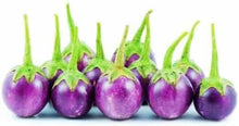 Eggplant Solanum Melongena Purple Seeds valued by growers for backyard Culinary Use