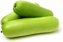 Bottle Pumpkin Seeds (Lagenaria siceraria) for a reliable harvest in the home gardens and kitchen patches