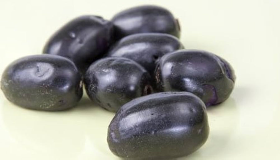 Organic Plum Fruit Seeds Prunus domestica for planting in vegetable patch
