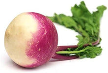 Slicemaster Seeds grown for fresh slicing vegetables
