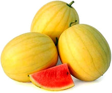 Chinese Watermelon Citrullus lanatus for planting in vegetable patch