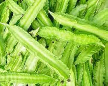 Winged Bean (Psophocarpus tetragonolobus) for planting in vegetable patch