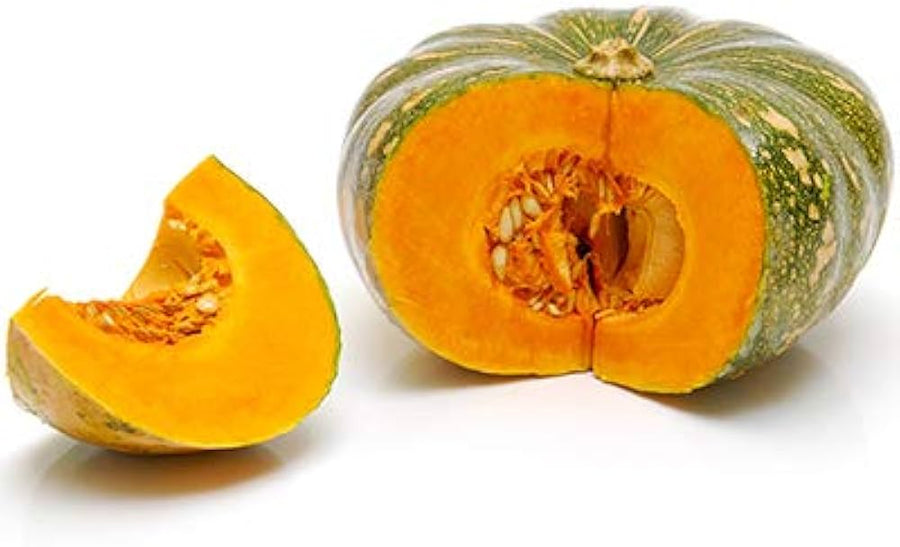 Squash Seeds (Cucurbita maxima) for a reliable harvest in the Kitchen Garden