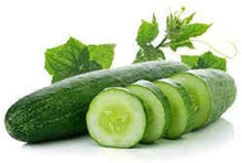 Cucumber Seeds (Cucumis sativus) for a fresh homegrown crop from the vegetable patch and urban garden