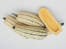 Lakota Squash Seeds (Cucurbita pepo) for growers stocking the vegetable patches and home gardens