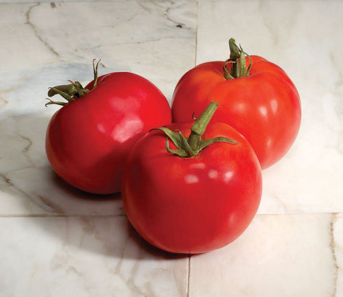Large Tomato Solanum Lycopersicum Vegetable Seeds for Planting in Kitchen Garden and Backyard Beds - for planting in home garden