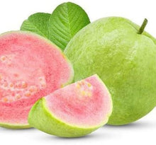 Guava Fruit Mix Seeds prized for fruit Trees