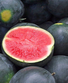 Black Watermelon Seeds (Citrullus lanatus) for a fresh homegrown crop from the home garden beds