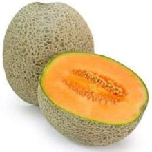 Plant Seeds (Honeydew melon) for growers stocking the backyard gardens