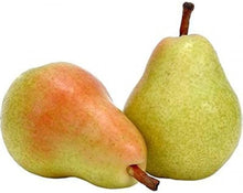 Pear Seeds (Pyrus communis) for sweet homegrown fruit in the Home Garden