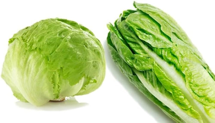 Romaine Lettuce Seeds