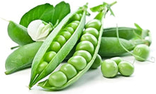 Blue Podded Organic Pea Seeds (Pisum sativum) for a productive addition to the vegetable patch