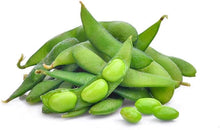 Bean Samt Edamame Essbare Soja Bio-NON-GMO unbehandeltes Saatgut Seeds for growers stocking a kitchen garden