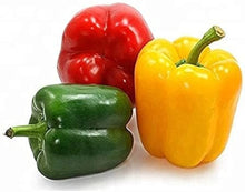Capsicum Seeds (Capsicum annuum) for colorful blooms in the home gardens and urban containers