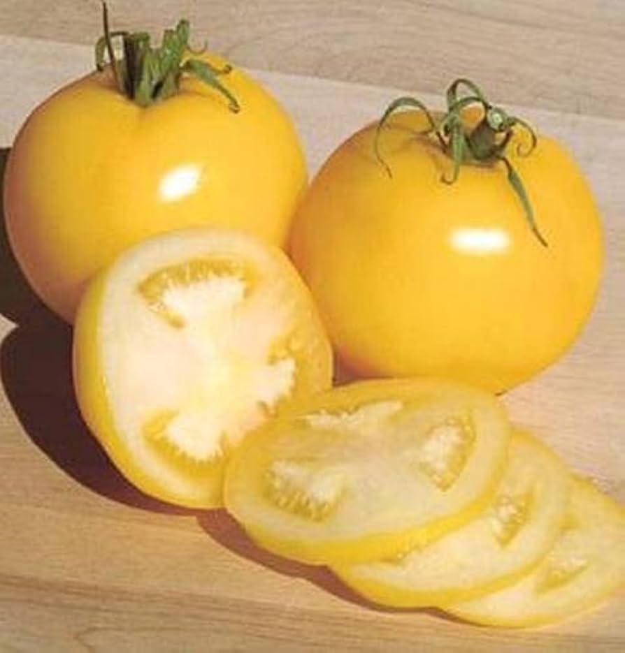 Taxi tomato grown from organic and conventional seeds with bright yellow fruits and smooth texture