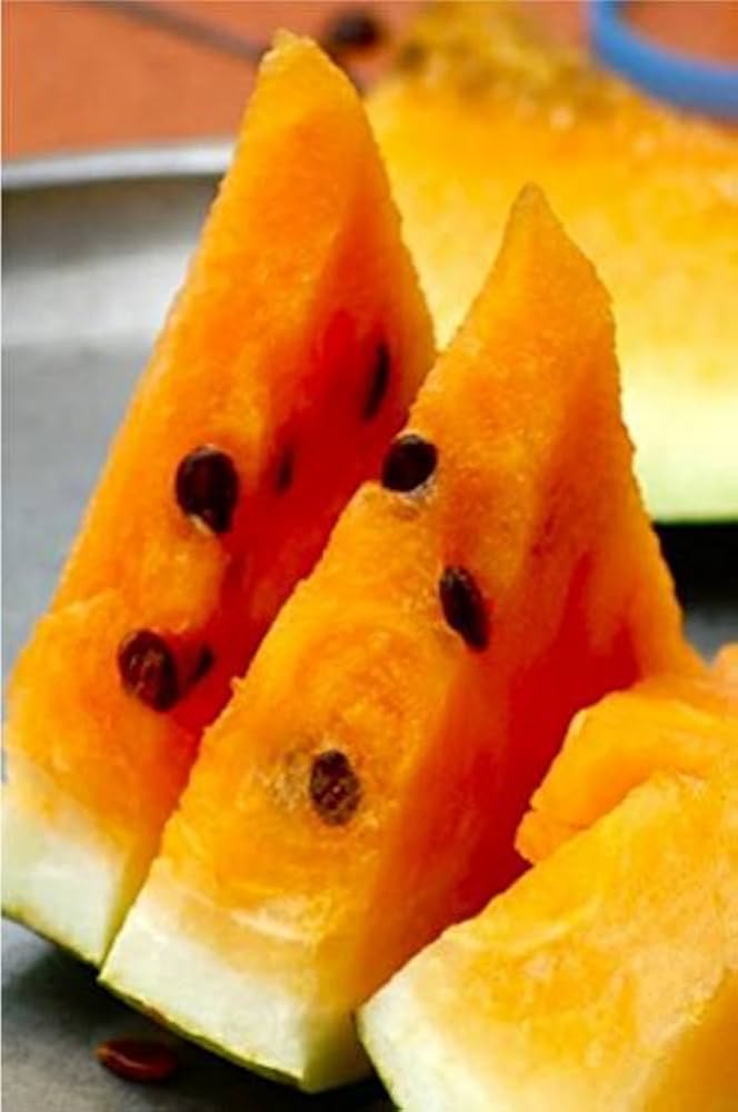 Orangeglo Watermelon ��������� Citrullus lanatus ��������� for home garden planting