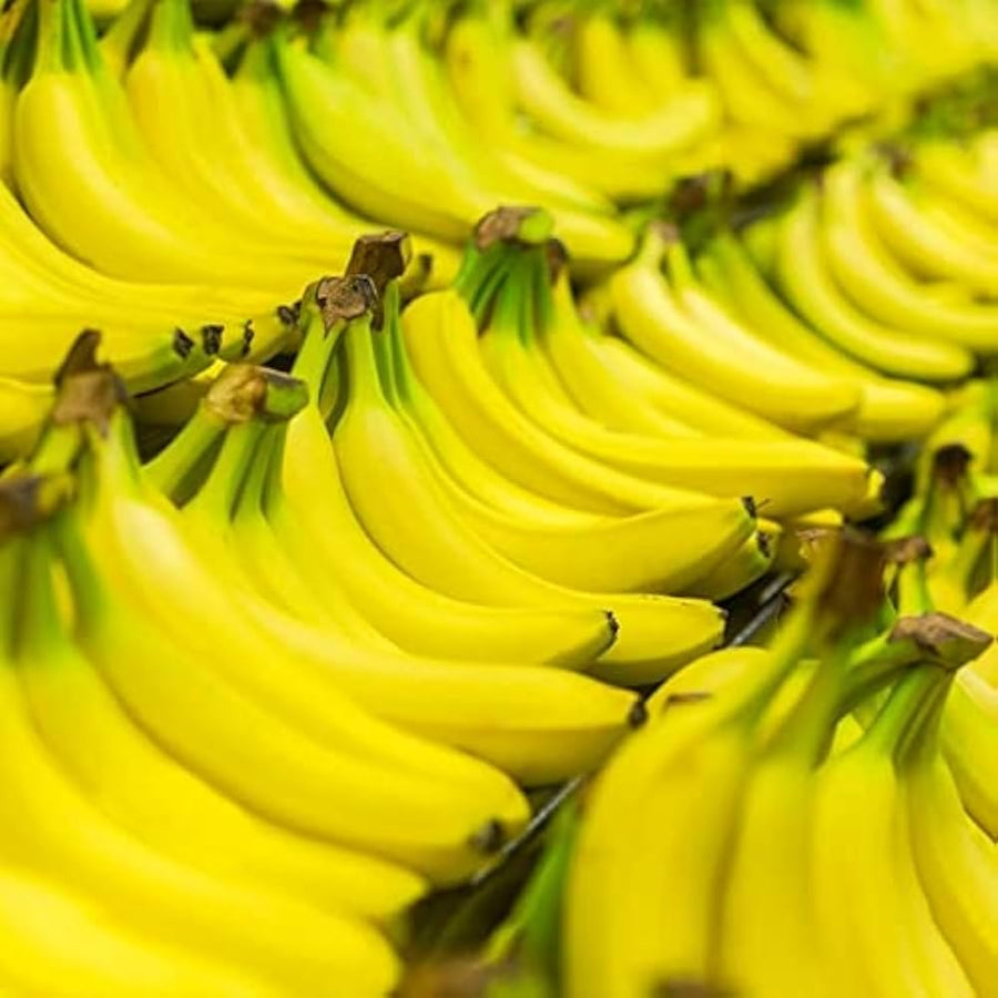 Banana Musa spp. for planting in vegetable patch.