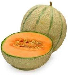 Fortuna Melon Seeds valued by growers for summer Harvests
