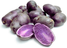 Purple Sweet Potato Seeds for home growers seeking a reliable harvest