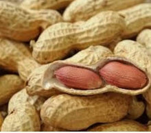 Brown Big Peanut Seeds for gardeners building out beds and borders