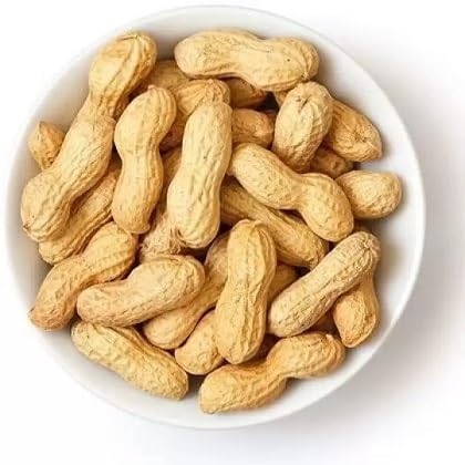 Peanut Plants for a colorful addition to any planting