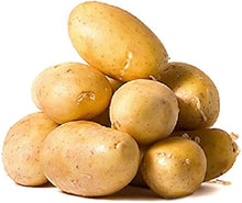 Yukon Potato Seeds (Solanum tuberosum) for productive rows in the Vegetable Patch