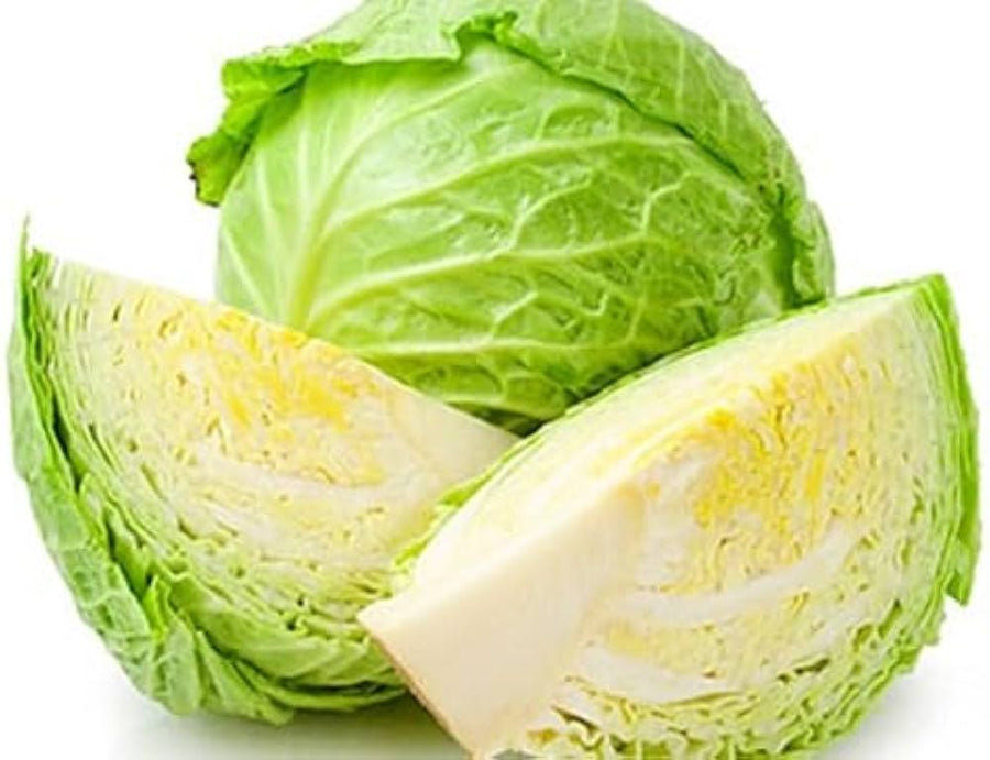 Churchill (cabbage) for planting in garden