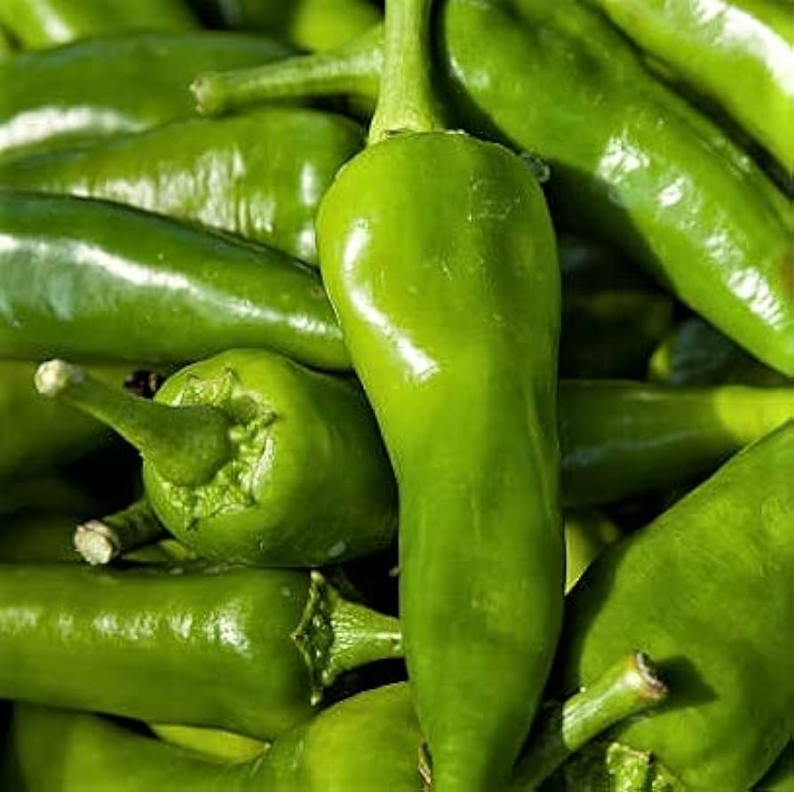 Anaheim Pepper Seeds (Capsicum annuum) for a fresh homegrown crop from the Kitchen Garden Planting