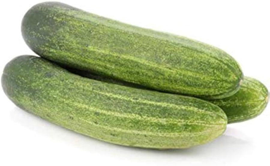Balcony (Cucumber Seeds (Pack of 50) – Compact Vines Perfect for Small Gardens) for planting in garden
